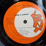IKE & TINA TURNER REVUE LIVE 1P STEREO