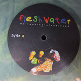 FLESHWATER WERE NOT HERE TO BE LOVED CLEAR YELLOW SMOKE