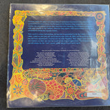 VENTURES SUPER PSYCHEDELICS