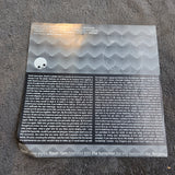 BRANIAC ELECTRO-SHOCK FOR PRESIDENT 12"