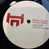 REMIX CULTURE HOUSE NATION 180 V/A 12"