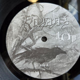 VIDSYN ON FROSTBITTEN PATH BENEATH POL IMP 10"