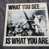 ALTERNATIVE TV WHAT YOU SEE IS WHAT YOU ARE UK IMP