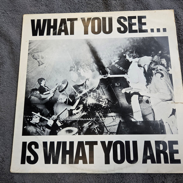 ALTERNATIVE TV WHAT YOU SEE IS WHAT YOU ARE UK IMP