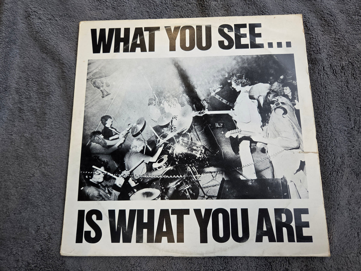 ALTERNATIVE TV WHAT YOU SEE IS WHAT YOU ARE UK IMP