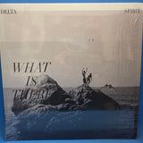 DELTA SPIRIT WHAT IS THERE