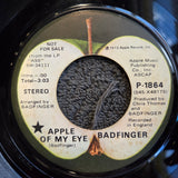 BADFINGER APPLE OF MY EYE 7" PROMO MONO