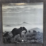 ELEPHANTS MEMORY S/T APPLE