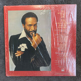 MARVIN GAYE IN OUR LIFETIME 18G 2016