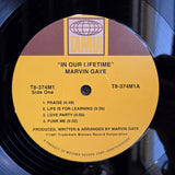 MARVIN GAYE IN OUR LIFETIME 18G 2016