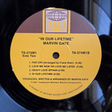 MARVIN GAYE IN OUR LIFETIME 18G 2016