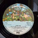 FLAMIN GROOVIES TEENAGE HEAD RE UK IMP