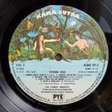 FLAMIN GROOVIES TEENAGE HEAD RE UK IMP
