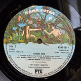 FLAMIN GROOVIES TEENAGE HEAD RE UK IMP