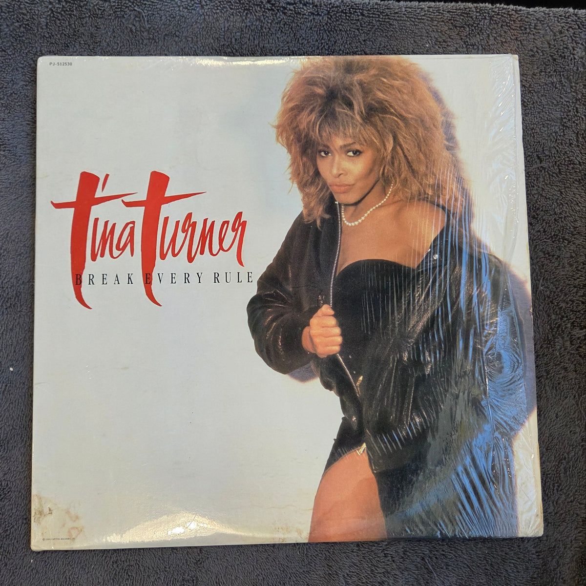 TINA TURNER BREAK EVERY RULE