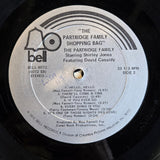 PARTRIDGE FAMILY SHOPPING BAG
