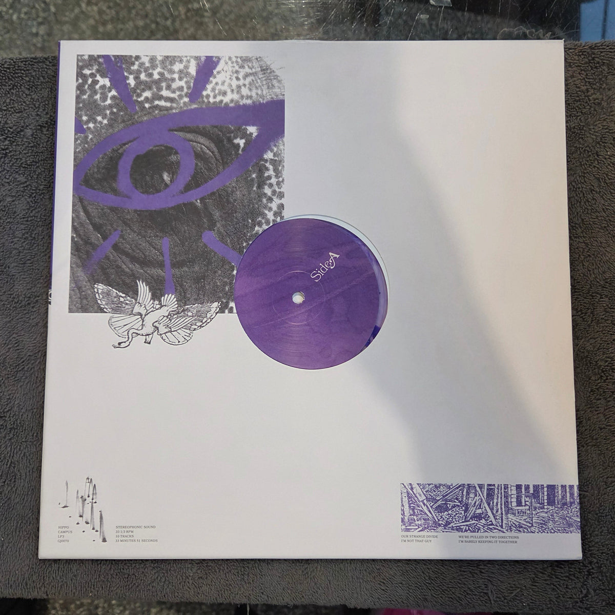 HIPPO CAMPUS LP3 PURPLE SWIRL 180G