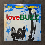HUMMINGBIRDS LOVE BUZZ AUSSIE IMPORT
