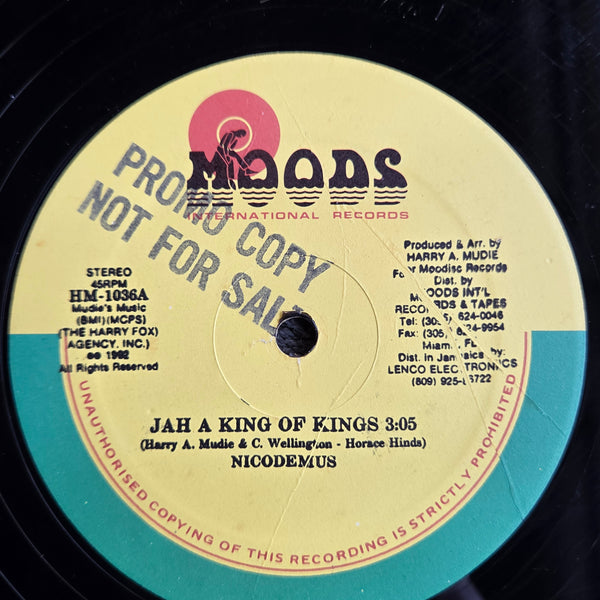 NICODEMUS JAH A KING OF KINGS