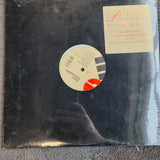 TEDDY PENDERGRASS BELIEVE IN LOVE NEW 12"