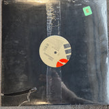 TEDDY PENDERGRASS BELIEVE IN LOVE NEW 12"