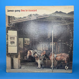 JAMES GANG LIVE IN CONCERT