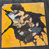L.A.P.D. JAMES BROWN NEW