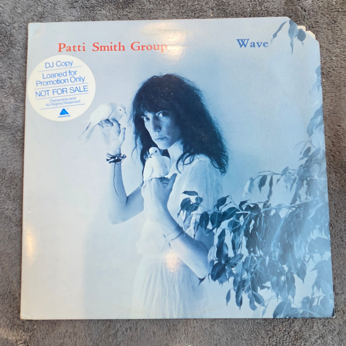 PATTI SMITH WAVE