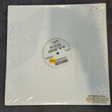 A K SHAY THIS HOT GIRL 12"