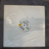 A K SHAY THIS HOT GIRL 12"