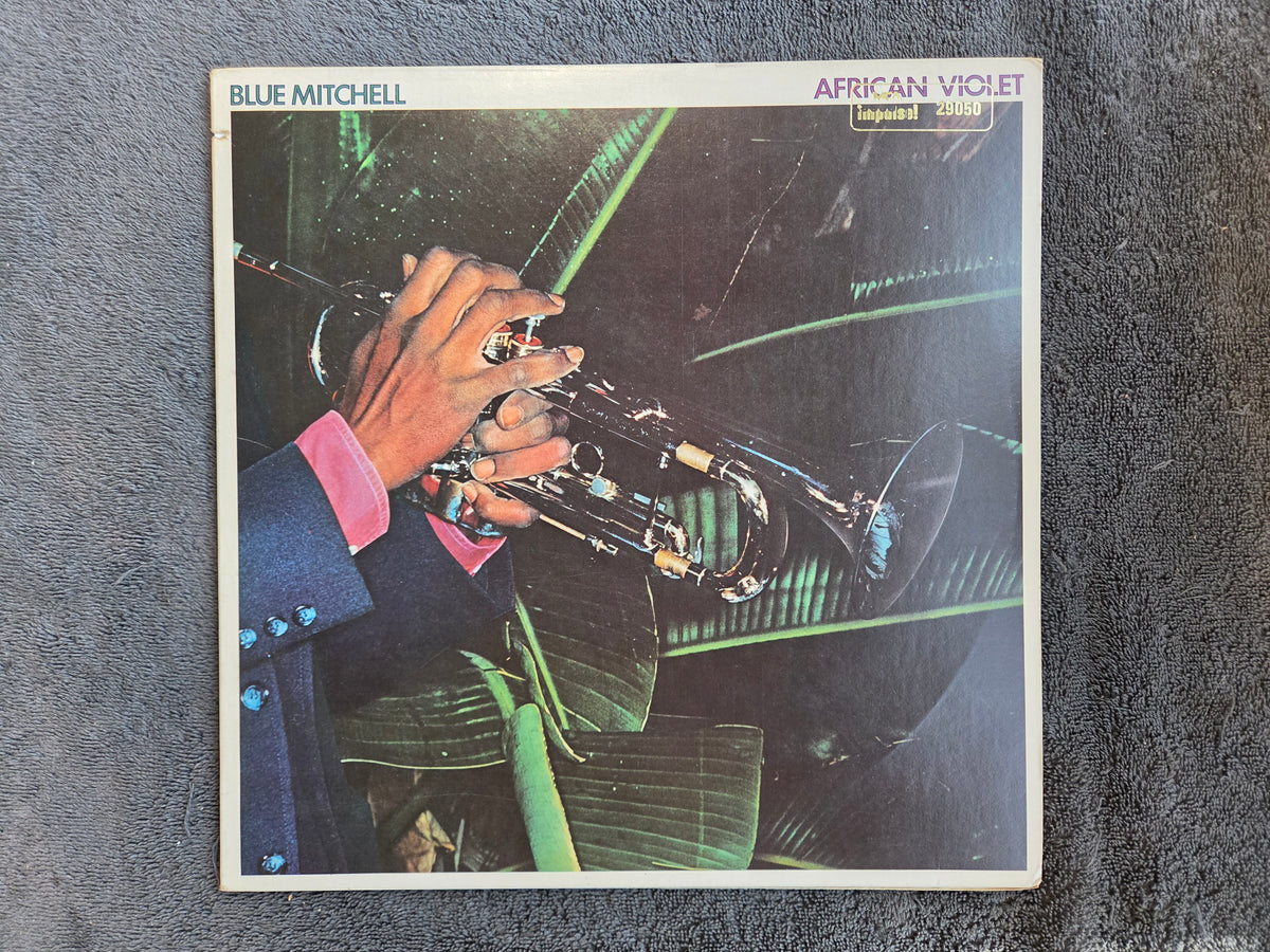BLUE MITCHELL AFRICAN VIOLET