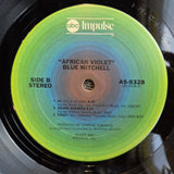 BLUE MITCHELL AFRICAN VIOLET