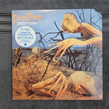 DIXIE DREGS OF THE EARTH