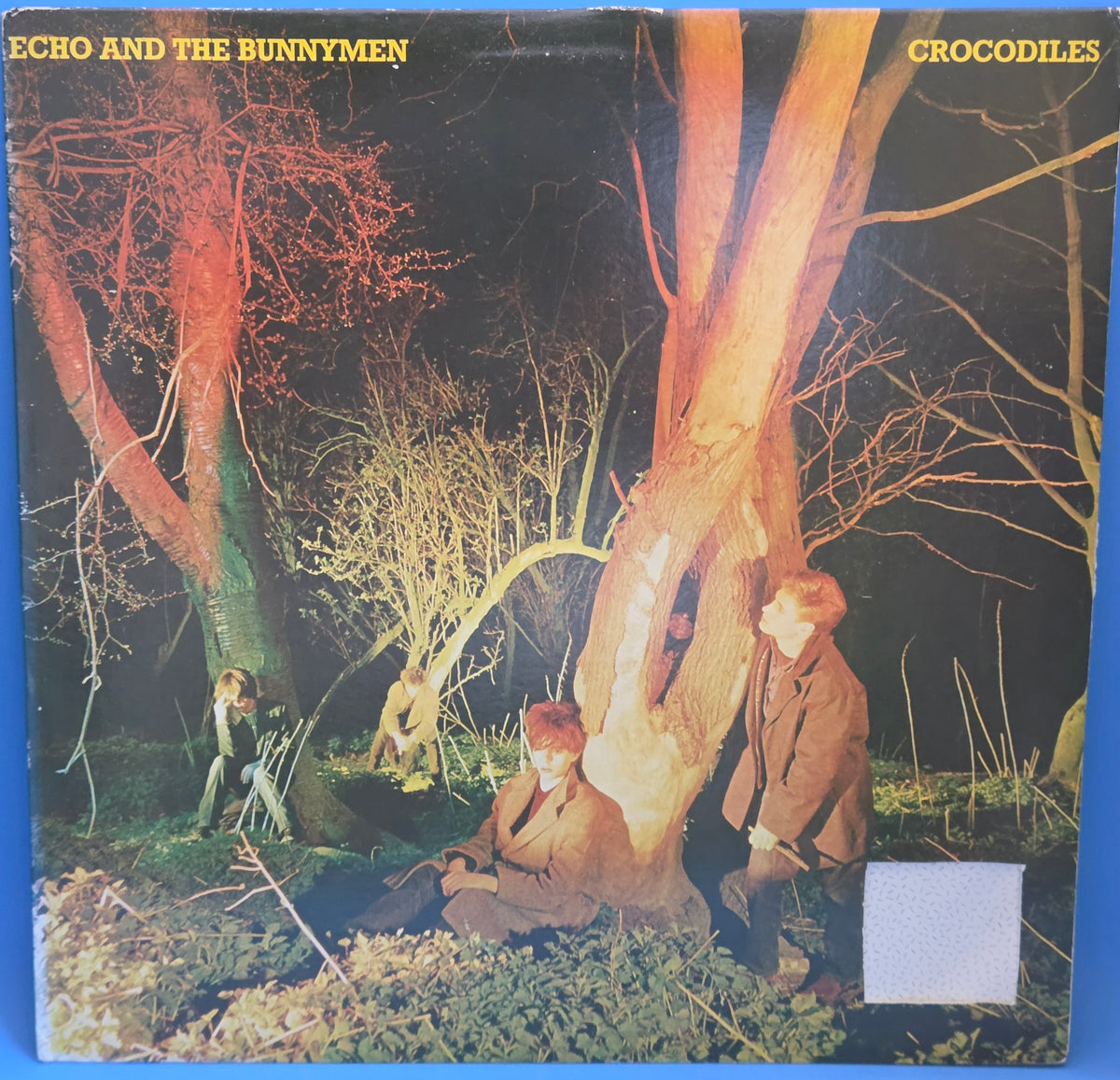 ECHO AND THE BUNNYMEN CROCODILES