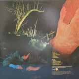 ECHO AND THE BUNNYMEN CROCODILES