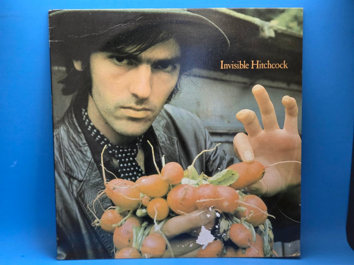 ROBYN HITCHCOCK INVISIBLE
