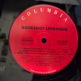 BUCKSHOT LEFONQUE MUSIC EVOLUTION 12"