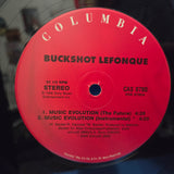 BUCKSHOT LEFONQUE MUSIC EVOLUTION 12"