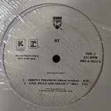 BT LOVE PEACE AND GREASE WLP 12"