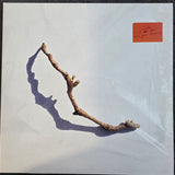 PJ HARVEY I INSIDE THE OLD YEAR DYING