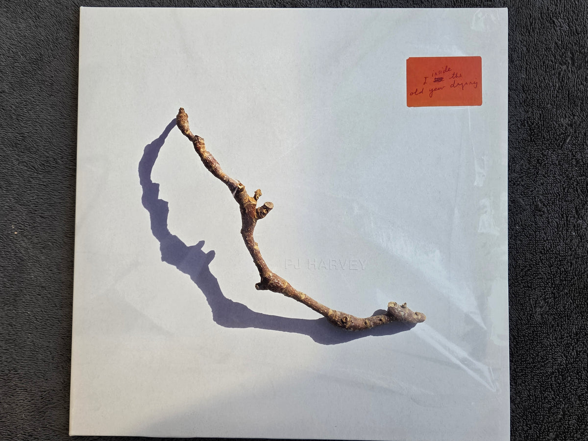 PJ HARVEY I INSIDE THE OLD YEAR DYING