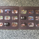 FAMILY THE FAMILY S/T