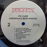 ICE CUBE AMERIKKKAS MOST WANTED