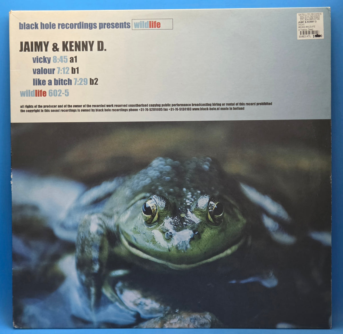 JAIMY & KENNY D VICKY NL IMP 12"