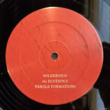 EXPLOSIONS IN THE SKY WILDERNESS ETCHED LIM