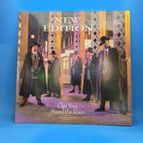 NEW EDITION CAN YOU STAND THE RAIN EXTENDED VERSION 12"