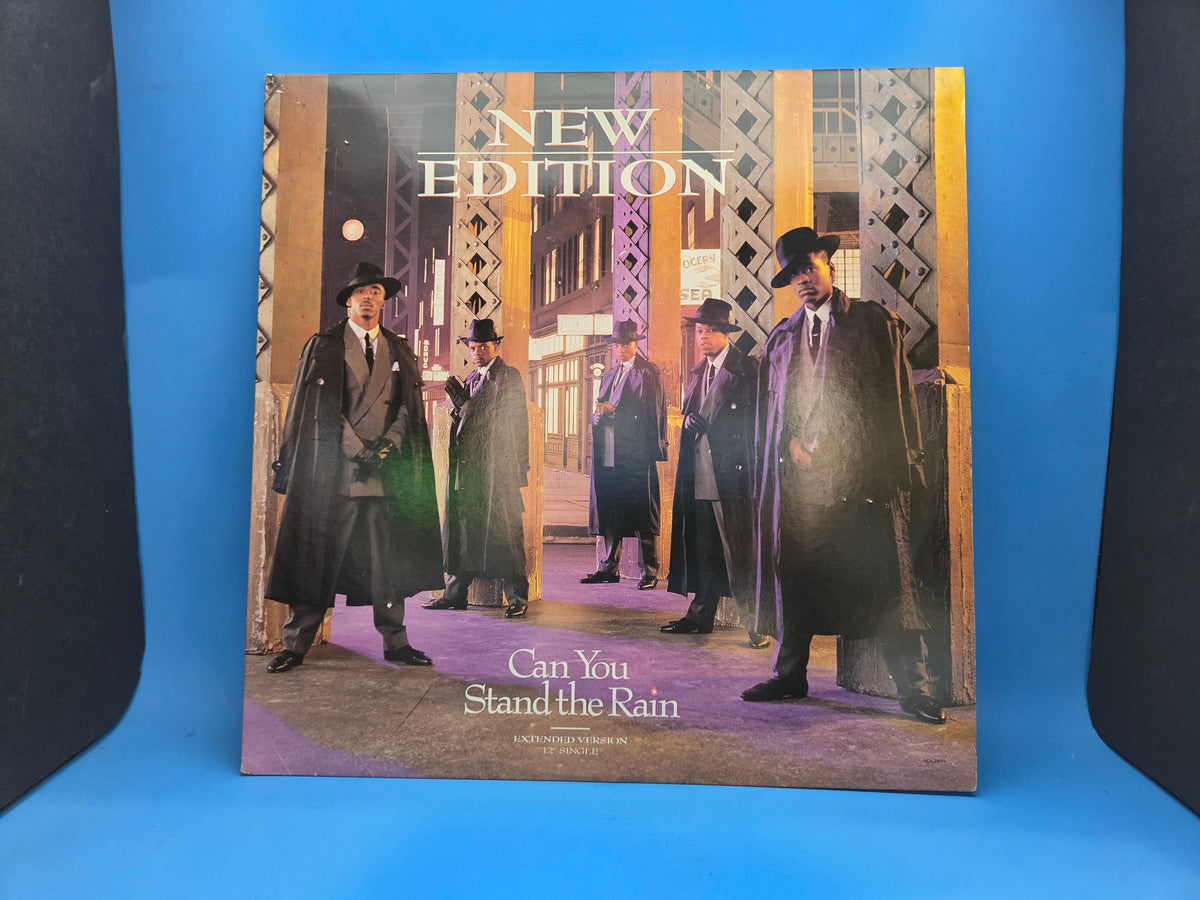 NEW EDITION CAN YOU STAND THE RAIN EXTENDED VERSION 12"