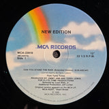 NEW EDITION CAN YOU STAND THE RAIN EXTENDED VERSION 12"