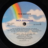 NEW EDITION CAN YOU STAND THE RAIN EXTENDED VERSION 12"