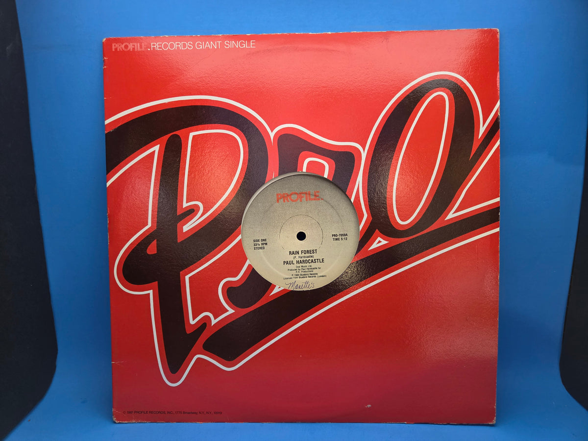 PAUL HARDCASTLE RAIN FOREST 12"